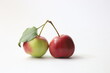 Vibrant crab apples with attached leaf isolated on a white background.