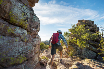 Canvas Print - Chiricahua