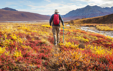 Canvas Print - Hike in polar tundra