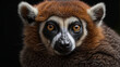 Close-Up of Captivating Lemur
