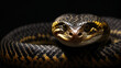 Majestic Snake Portrait