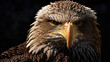 Realistic American Eagle Portrait