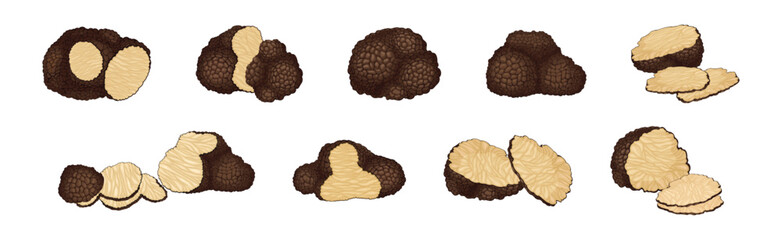 Sticker - Black Truffle Mushroom as Delicious Food Ingredient for Cooking Vector Set