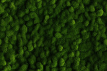 Green Soft Fuzzy Moss Background Wall Texture Pattern Seemless