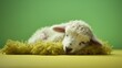 Cute sheep lying on floor sleeping with closed eyes on a green background. Created with Generative Ai technology.