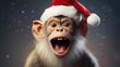 A monkey with Santa hat