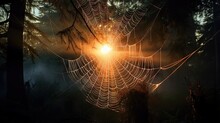  A Spider Web In The Middle Of A Forest At Sunset.  Generative Ai