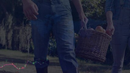 Poster - Animation of financial data processing over caucasian couple carrying basket with food