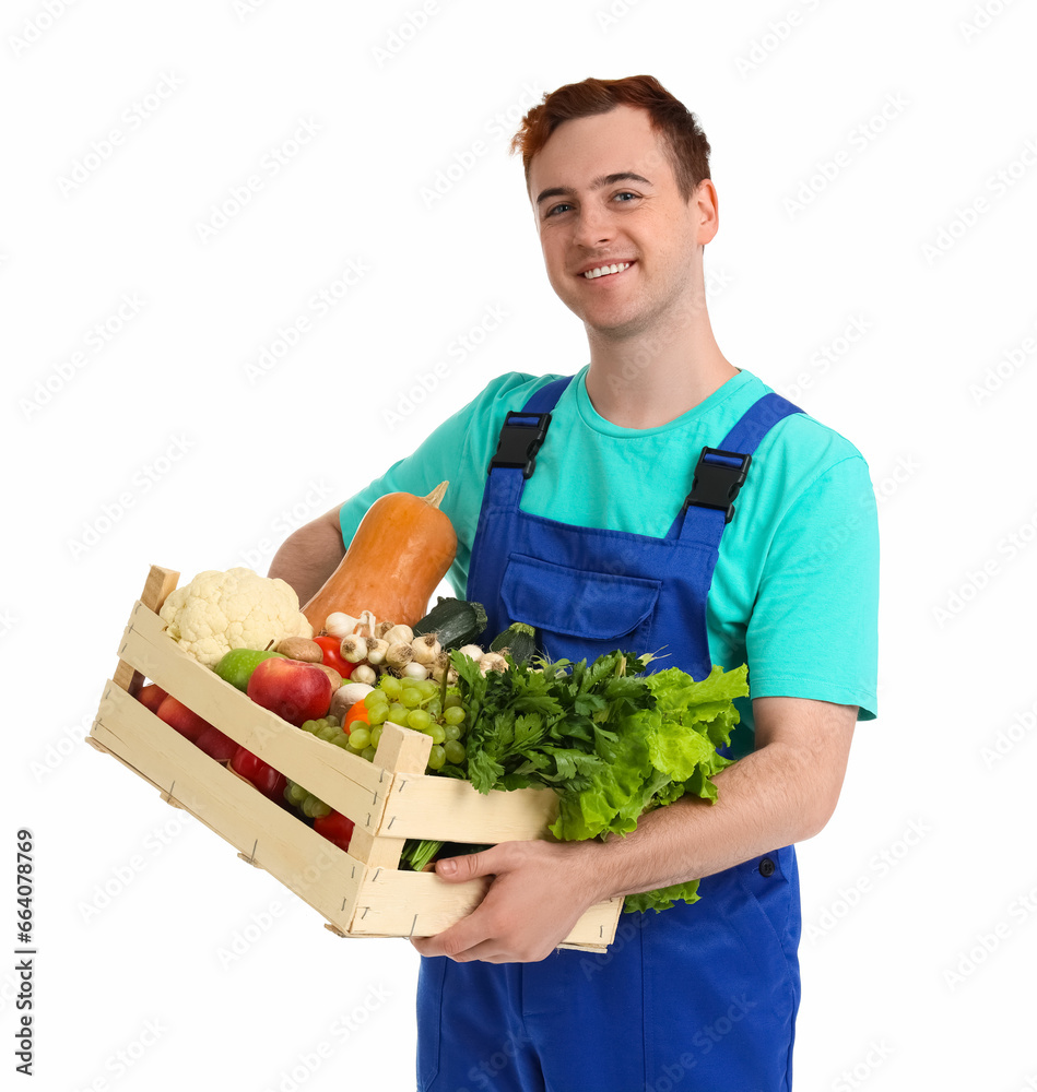 Male farmer with box of vegetables on white background