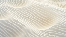 A White Sand Dune