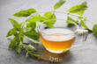 © Luis Echeverri Urrea - Lemon verbena hot drink - Fresh organic lemon verbena plant - Aloysia citrodora