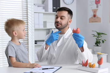 Wall Mural - Endocrinologist showing thyroid gland model to little patient at table in hospital