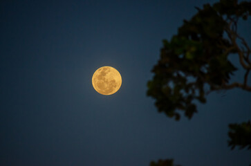 full moon