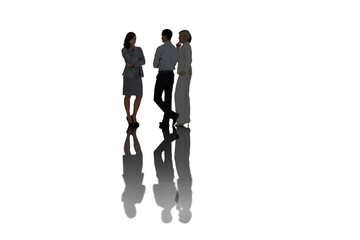 Poster - Digital png photo of diverse male and female business colleagues on transparent background