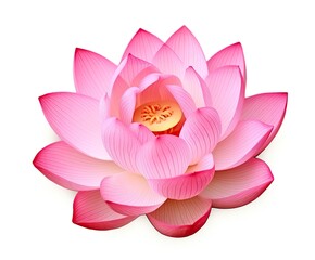 Wall Mural - Lotus flower on white background.