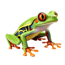 Red-eyed Green Tree Frog On Transparent Background (png)