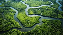 Bird S Eye Perspective Of River Bend In Delta S Lush Greenery