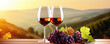 Wine Glasses And Grapes In Vineyard Scene