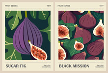 Fig Fruit Background, Pattern, Fruit Market Retro Poster. Vector Hand Drawn Illustrations Of Sweet Fig Fruits With Leaves For Modern Kitchen Wall Art, Cover, Card, Packaging Design.