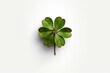 Lucky clover for everyone - isolated with shadow. Generative AI