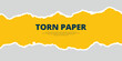© InkSplash - Transparent background torn paper with yellow color ripped cut effect blank empty banner or poster vector file
