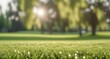 © Yana - Green grass with a blurry background. Green lawn under the rays of the sun. Lawn grass with copy space.