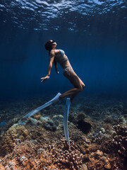 Wall Mural - Freediver with fins glides over corals. Free diving in tropical blue ocean