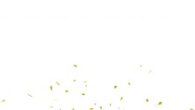 Golden Confetti Party Popper Explosions. Gold Confetti On A White Background. Video Animation Ultra HD 4K