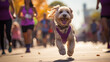 Running dog on a marathon