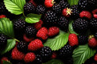 mulberry fruits on background