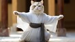 Funny cat in white kimono exercising yoga or Asian martial arts. Legs wide stance, paws in air. Banner with copy space on side