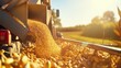 Harvester pouring freshly harvested corn maize seeds or soybeans into container trailer near, closeup detail, afternoon sunshine. Agriculture concept