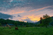 Xi 'an weeks old county pasture the setting sun sunset glow