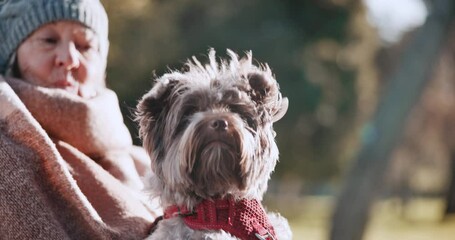 Poster - Outdoor, relax and senior woman with a dog, happiness and retirement with love, support and sunshine. Pensioner, elderly lady and old person with a pet in a park, animal and calm with peace and