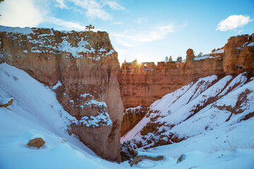 Wall Mural - Winter Bryce