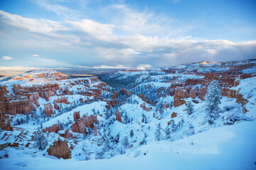 Wall Mural - Winter Bryce