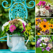 Collage of different flower pictures