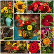 Collage of different flower pictures