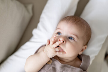 Wall Mural - a baby girl of six months sucks her fingers lying in her mother's arms, portrait of a cute little child