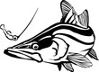 Snook Fish LineArt Icon