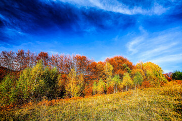 Wall Mural - Colorful mountain landscape. Autumn in the mountains. HDR Image (High Dynamic Range).