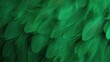 Beautiful abstract green feathers background, feather texture