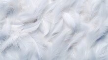 White Feather Texture Background, Pastel Soft Fur For Baby To Sleep.