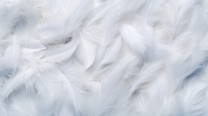 White feather texture background, pastel soft fur for baby to sleep.