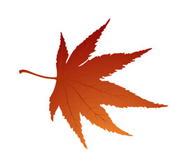 Wall Mural - Maple Autumn Leaf