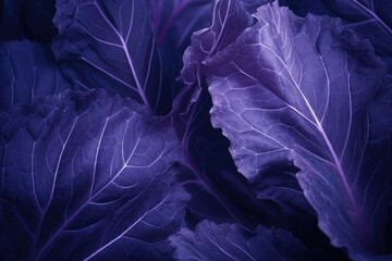  a close up of a purple leafy plant with many leaves.  generative ai