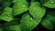  a close up of a green plant with water drops on it.  generative ai