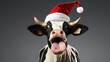 Udderly Joyful Holidays - A Black and White Cow Wearing a Santa Hat, Adding Some Humorous Christmas Cheer