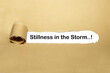 Stillness in the storm
