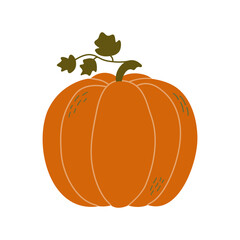 Wall Mural - Hand drawn pumpkin. Flat vector illustration isolated on white background.